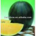 High quality watermelon seed for planting